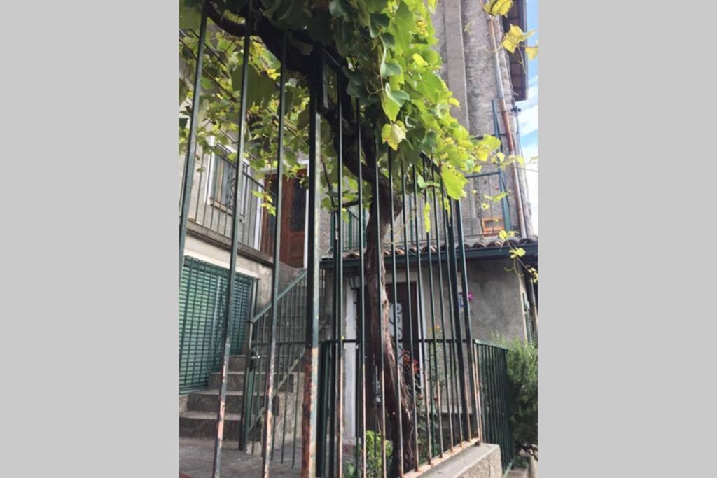 Nel Set Di Piccolo Mondo Antico Villa Viola Valsolda Kültér fotó